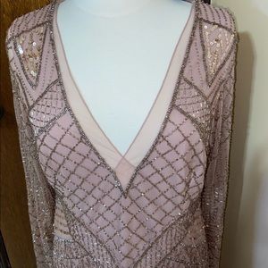 Gorgeous Blush Adrianna Papell Evening Dress